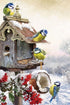 Winter birds & Their Little House